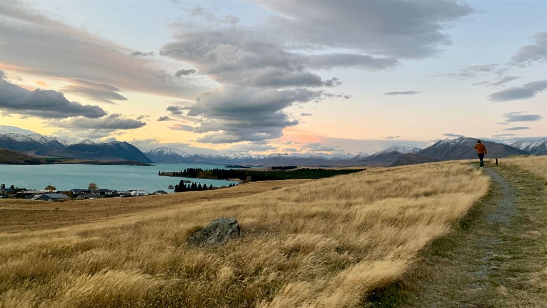 Grassy track near sea.