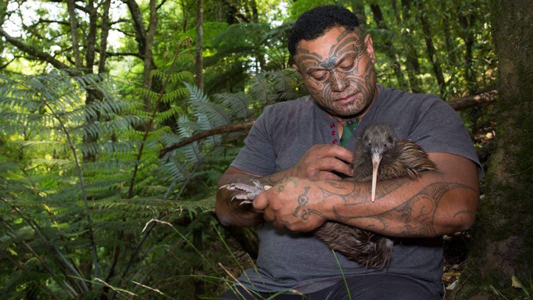 Man with kiwi.