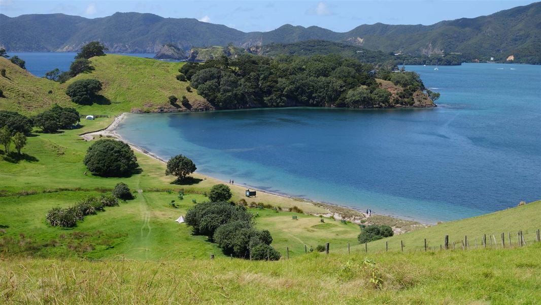 Urupukapuka Bay Conservation Campsite Urupukapuka Island