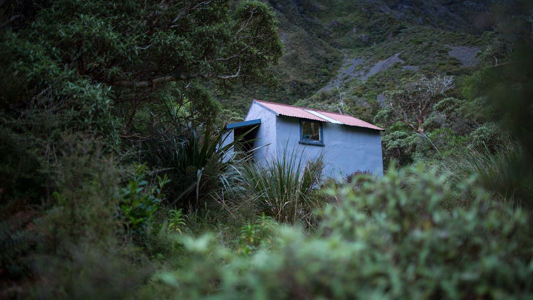 Small building in bush area.