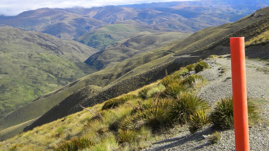 Views into West Coast Gully from Grandview Ridge Track. 