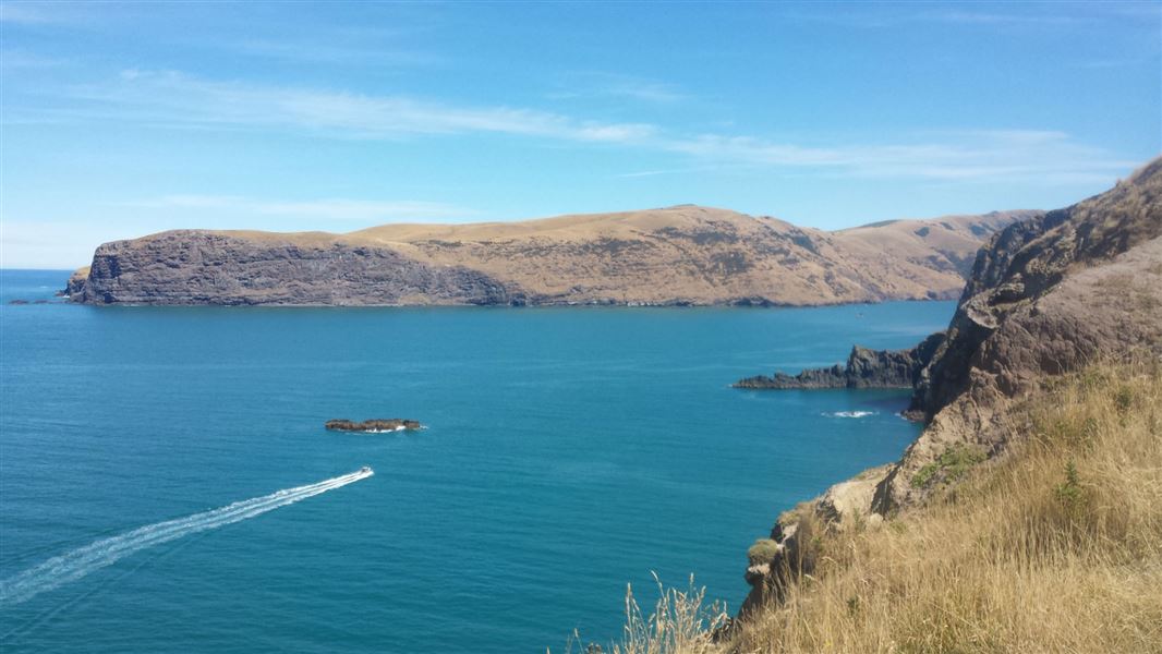 View from Akaroa Head.