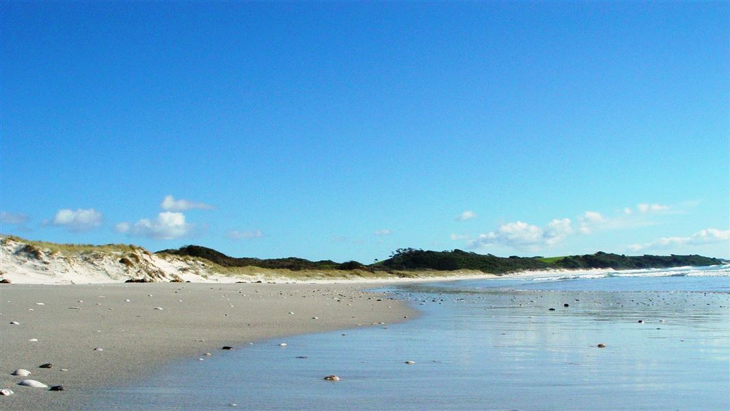 Rarawa beach conservation campsite: Paxton Point Conservation Area, Northland region