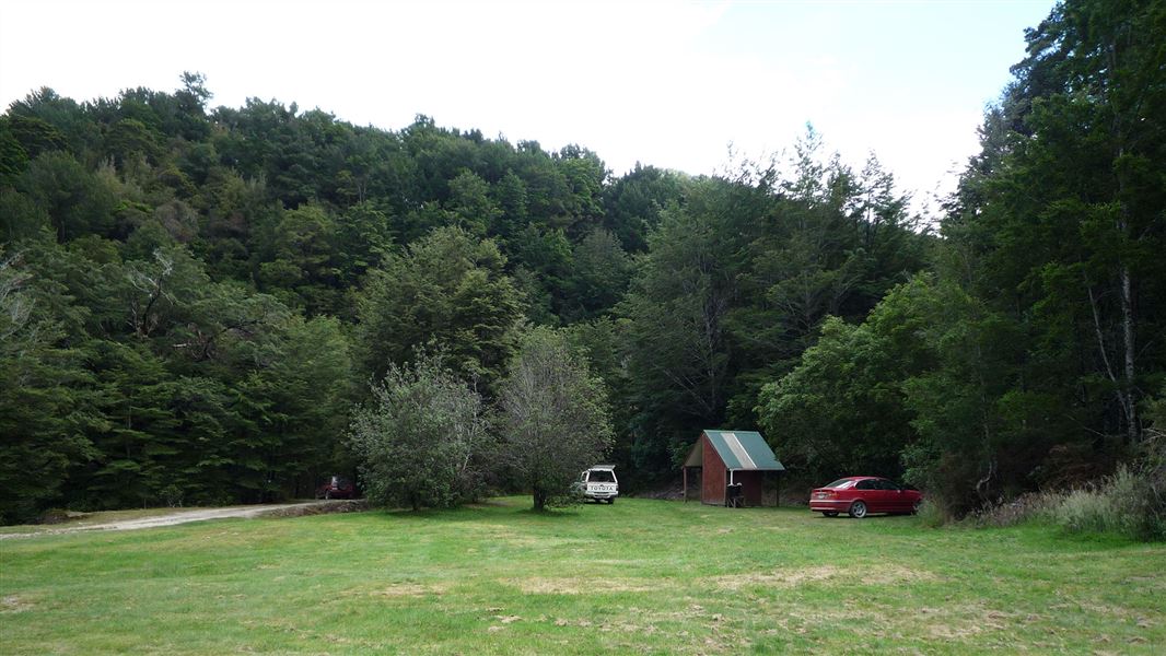 Flat grass area surrounded by trees.