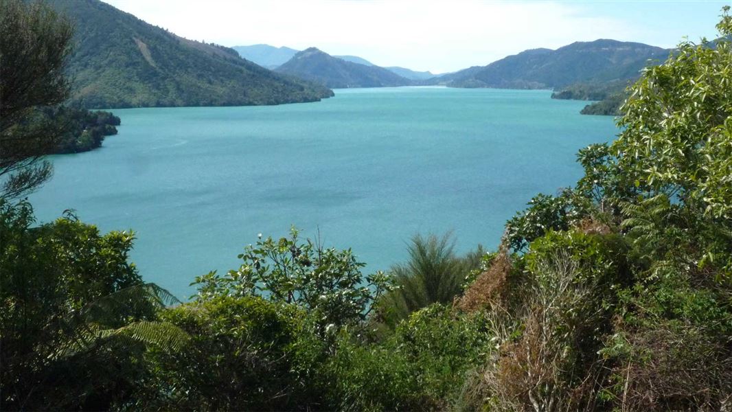 Pelorus Sound. 