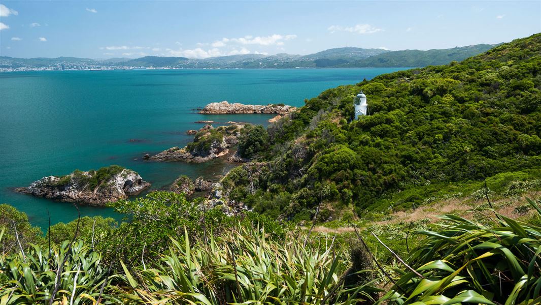 View from Matiu/Somes Island (Wellington city in the background). 