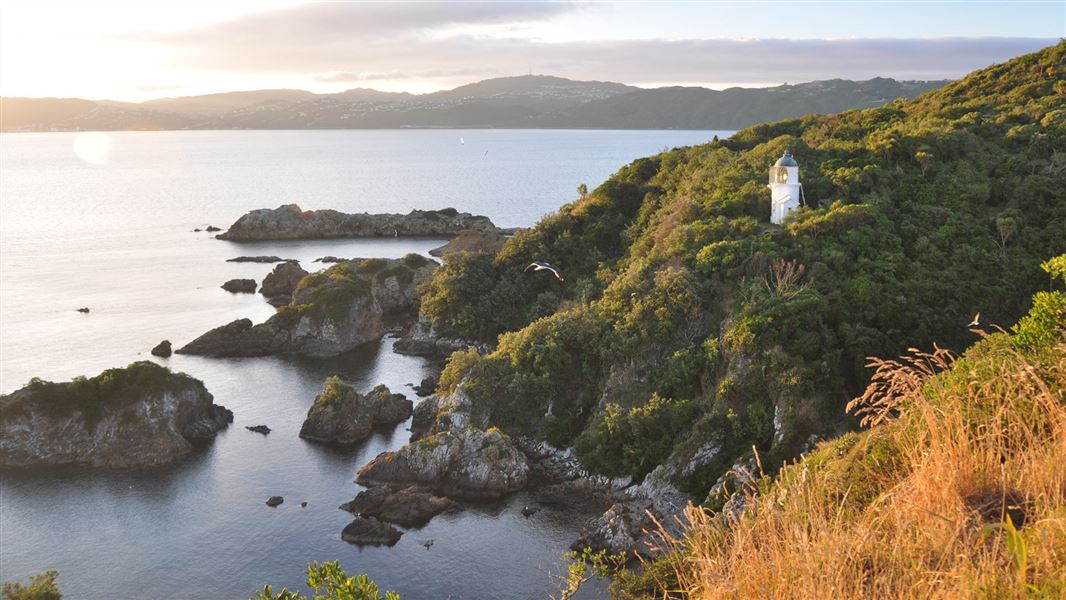 Matiu/Somes Island lighthouse. 