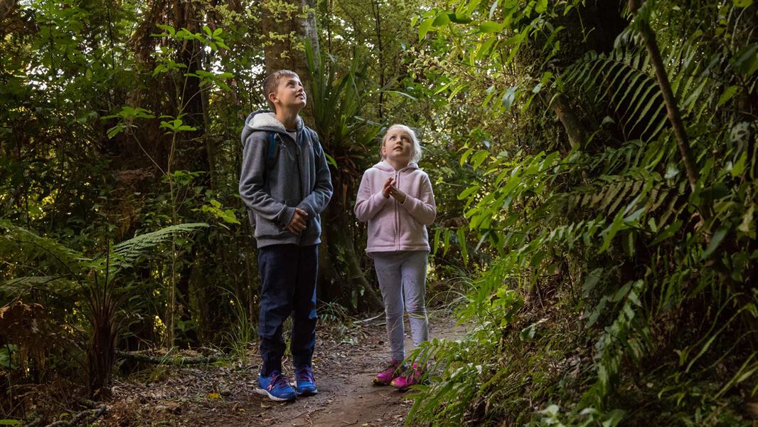 Two children on a bush track looking up. 