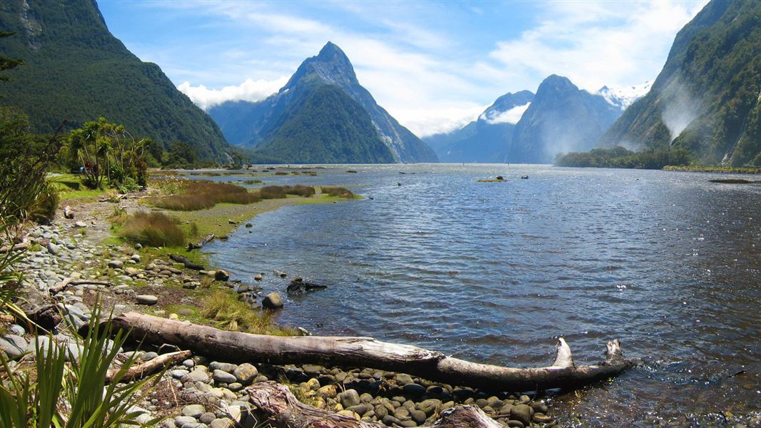 New Zealand Tourists spot