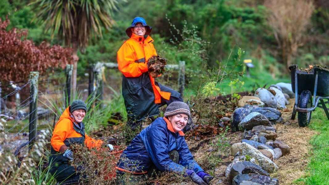 Three DOC staff planting trees.