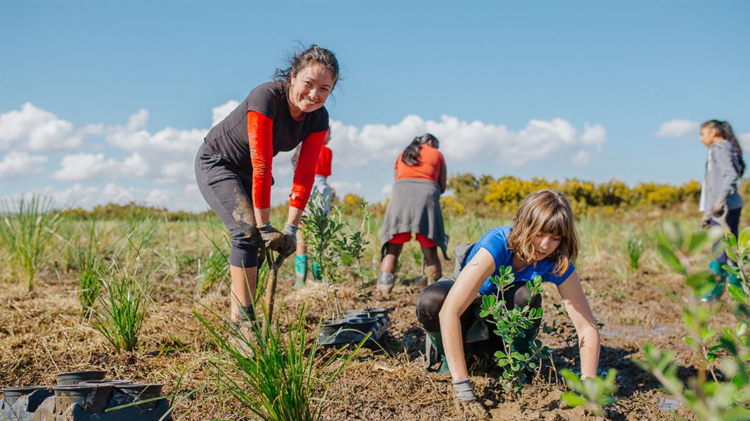 plant-a-native-tree-conservation-week-activities