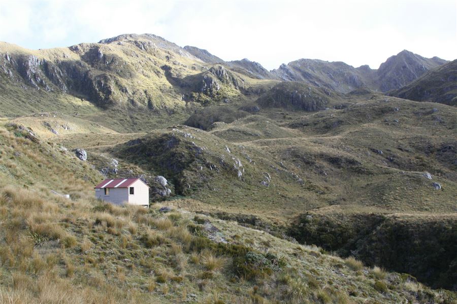 Lake Morgan Hut. 