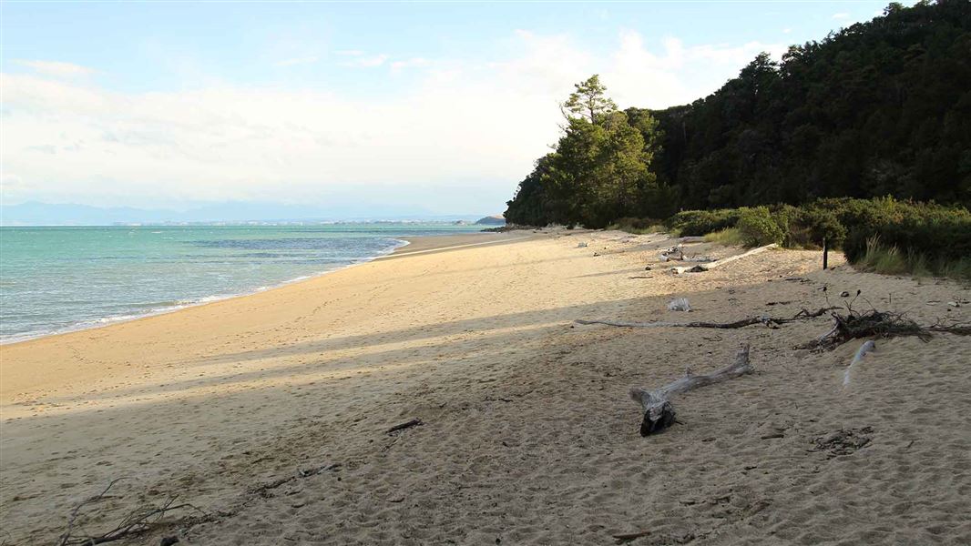 Apple Tree beach. 