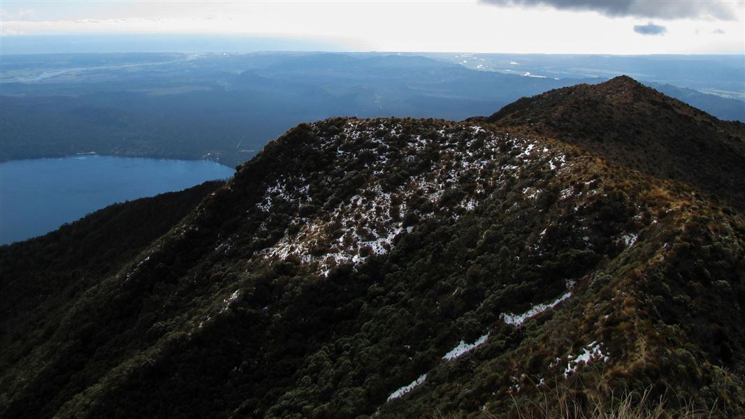 View from Mount Tuhua Track.