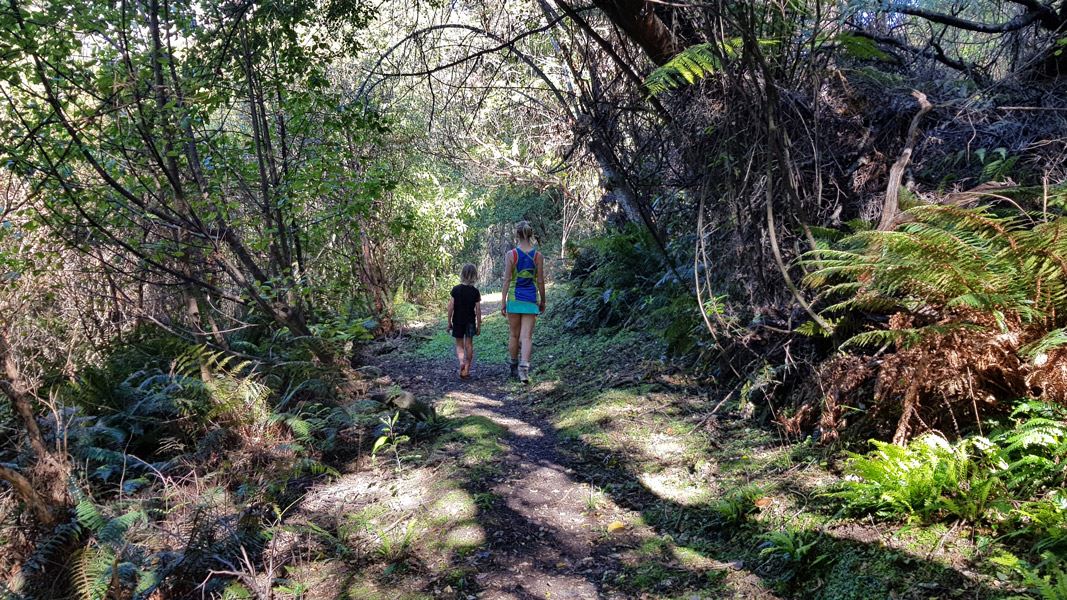 Kidds Bush Nature Walk