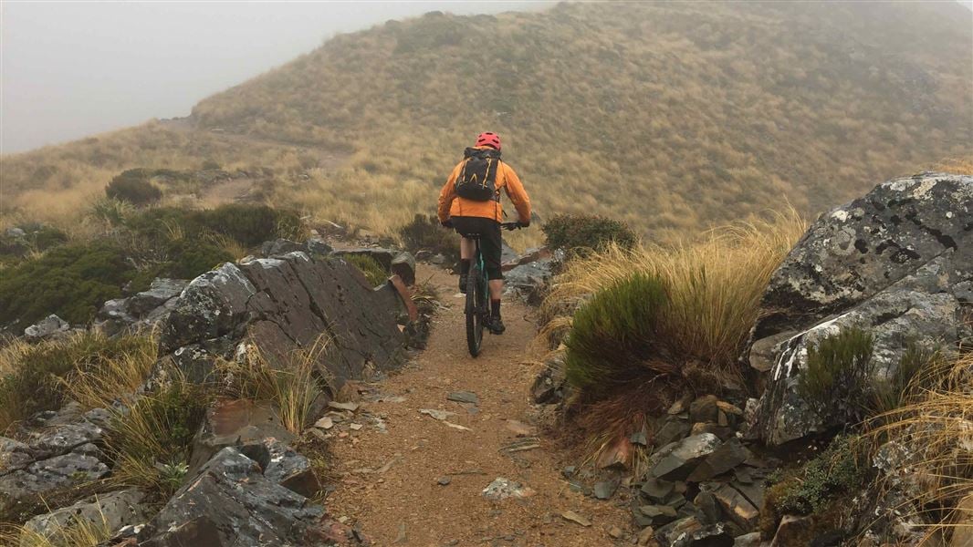 Cycling the Paparoa Track. 