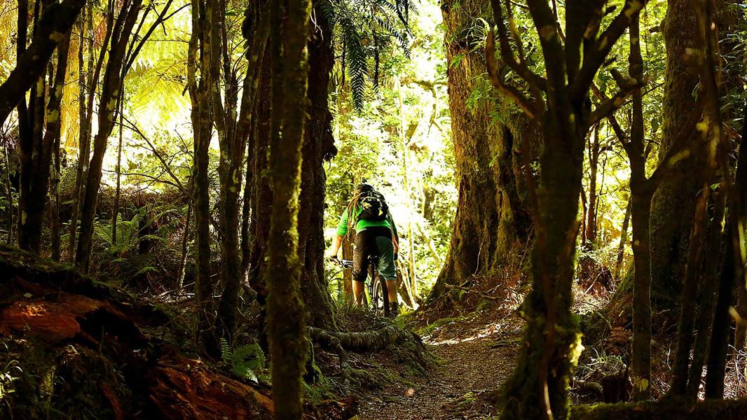 Cyclist on Te Iringa track. 