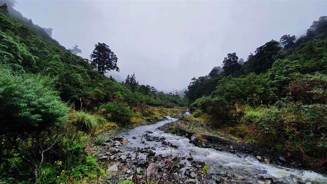 River through the Homes Ridge Track.