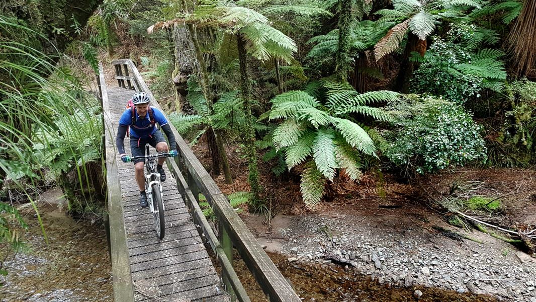 Biker on Moerangi Track.