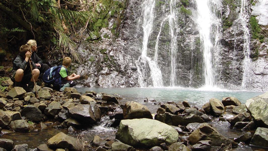 Peole at waterfall on Warren's Track. 