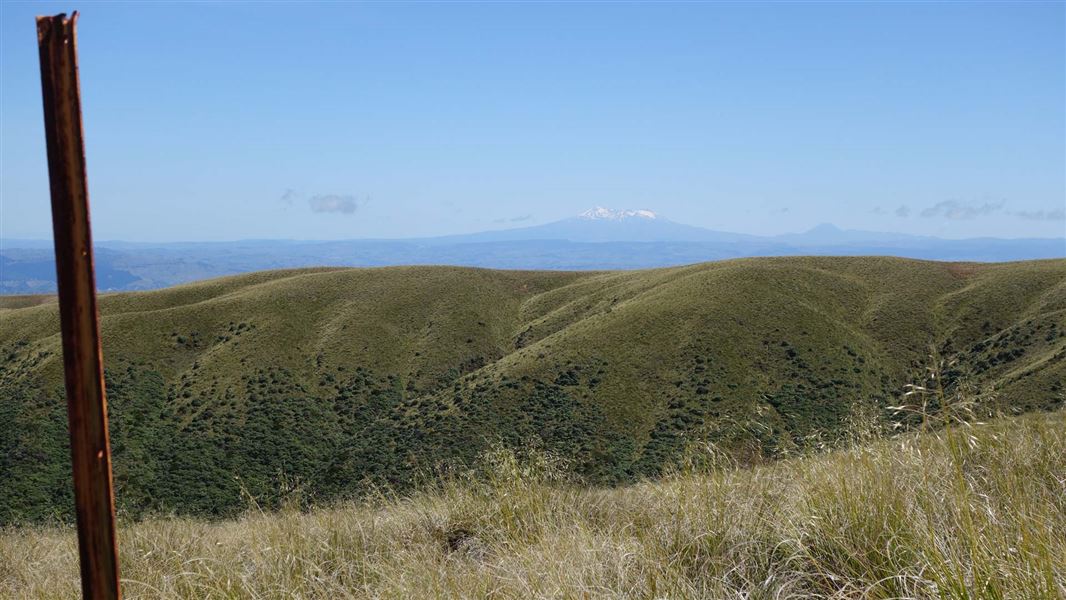 Mount Ruapehu and Mount Ngauruhoe. 