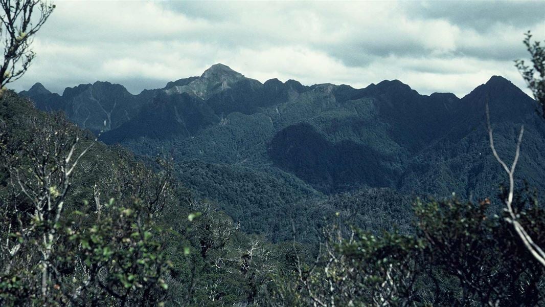 Raukumara Range. 