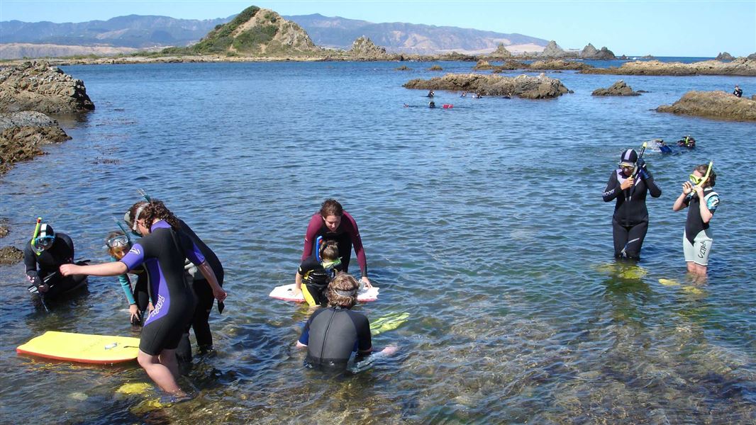 People snorkelling. 