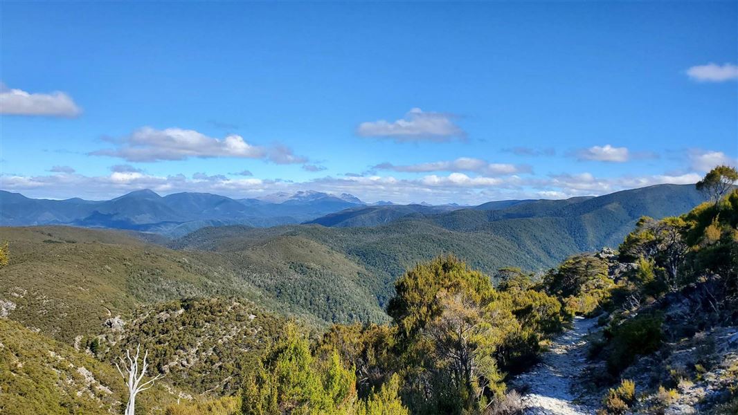 Towards the Arthur Range from the Lockett Range, Waingaro Track