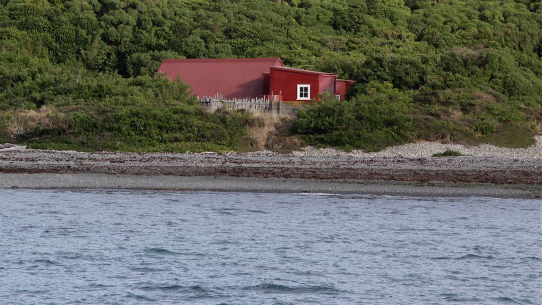 The historic Mana Island woolshed. 