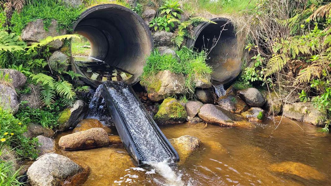 Baffles and a fish ramp installed in a culvert near Karamea should make it much easier for fish to climb, rather than the unmodified culvert on the right.