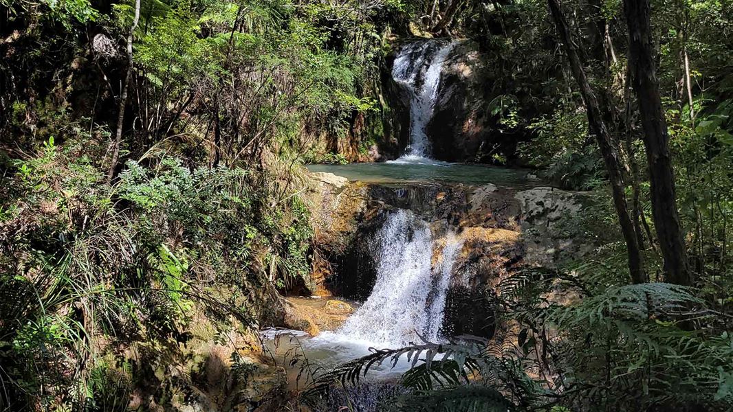 Small waterfalls into pools surrounded by lush green forest. 