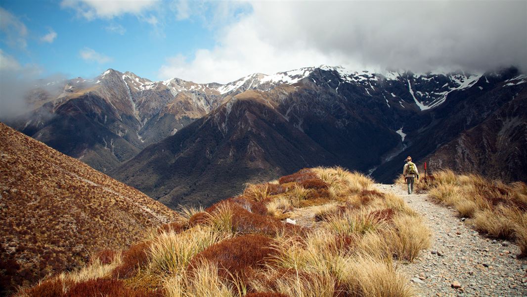 Walker in Arthur's Pass National Park.