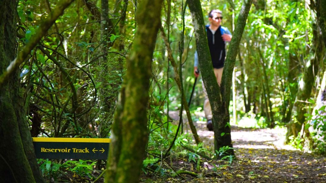 Walking in Talbot Forest Scenic Reserve.