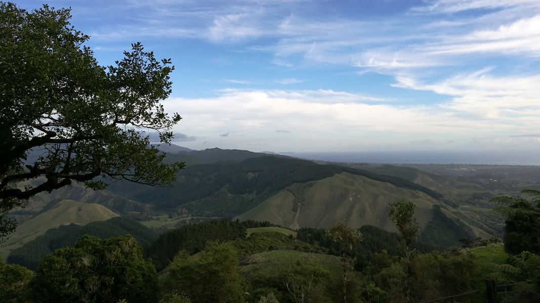 View from junction of Te Au and Parata tracks. 