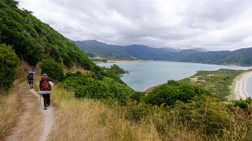 Gibbs Hill Track Abel Tasman.