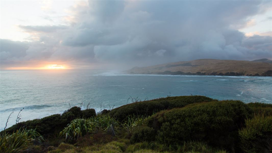 Martins Bay track.