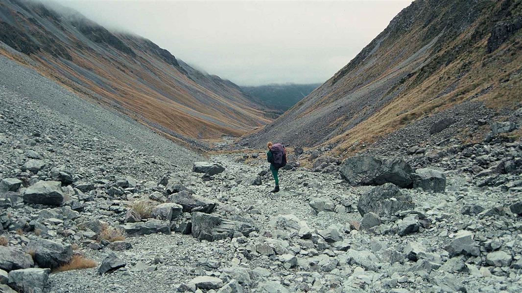 Upper reaches of Hunts Creek. 