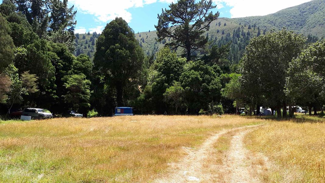 Waimaru Campsite. 