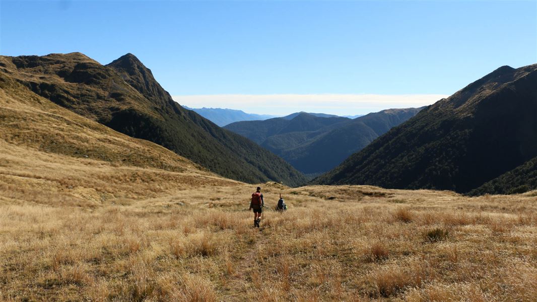 Open tussock tops over Rough Creek Saddle.