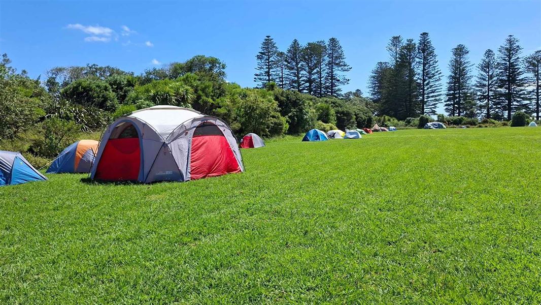 Motuihe Island Campsite — photo 2