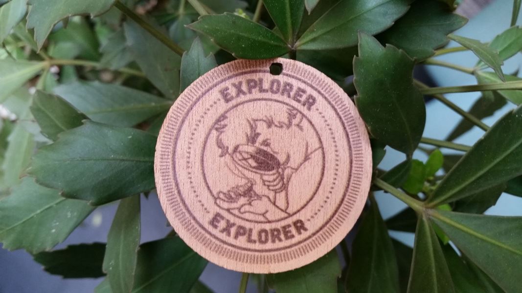 Explorer medal. 