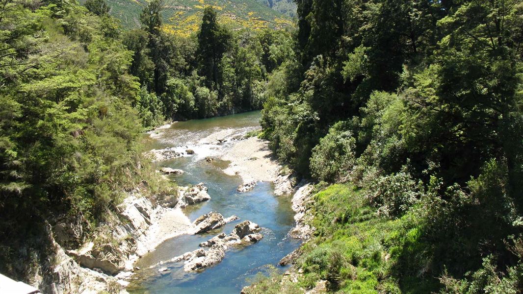 Pelorus Track. 