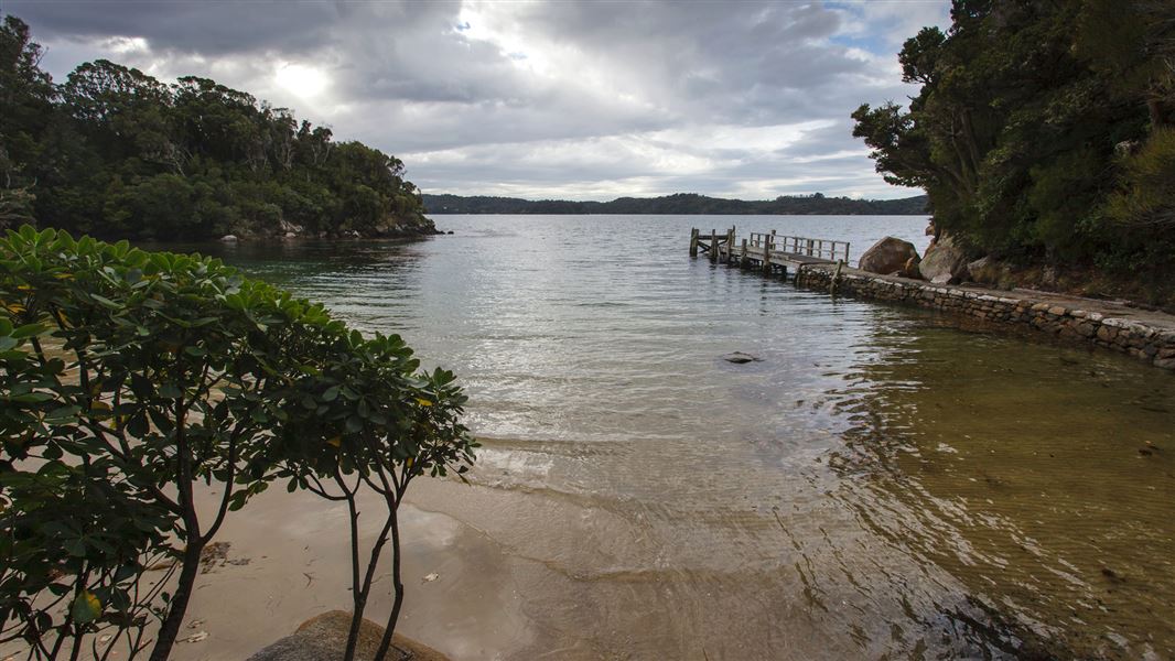 Ulva Island, Southland