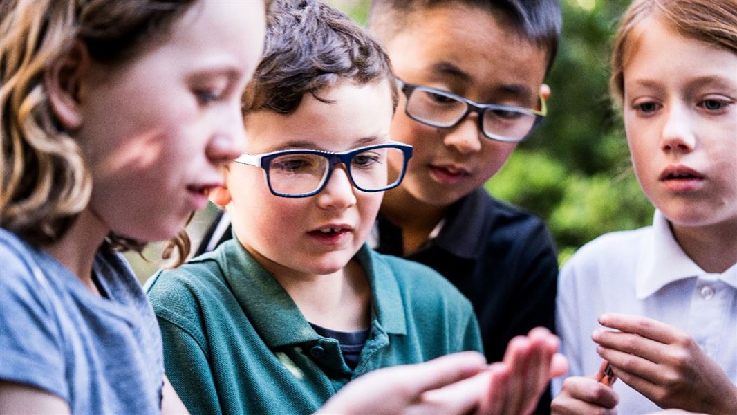 A group of children outside looking at a bug held in one child's hand.