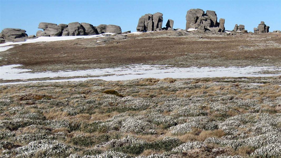 Rock tors above Big Top Hut. 