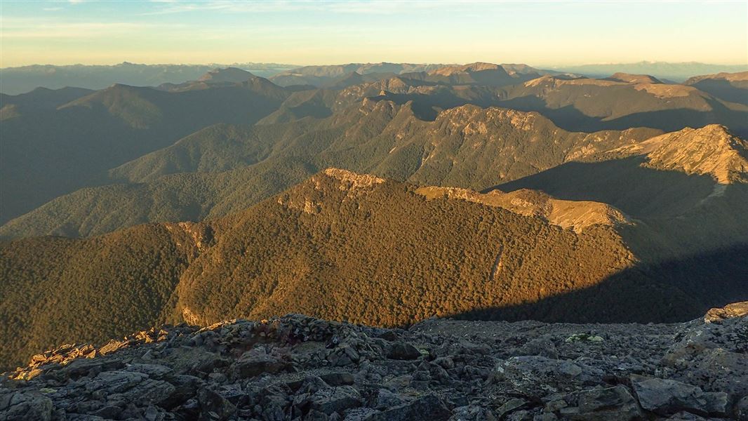 A mountain range of covered in dense, rich forest at dawn. 