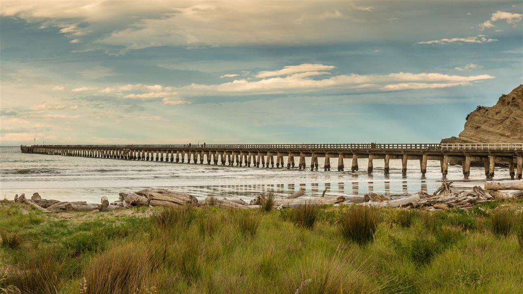 Tolaga Bay wharf. 