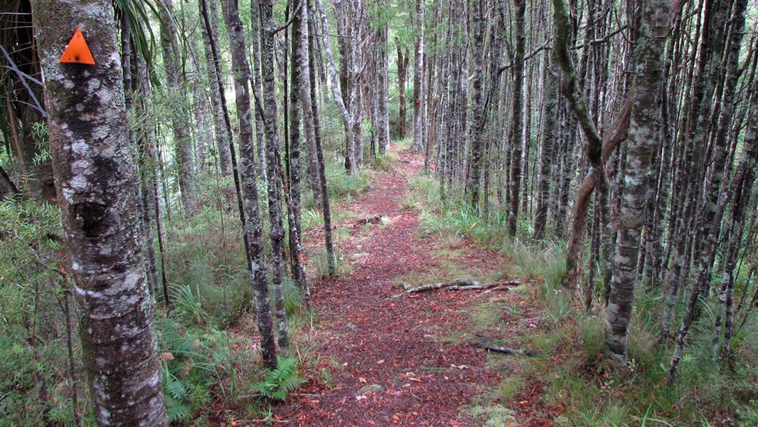 Otaika Valley Walk.