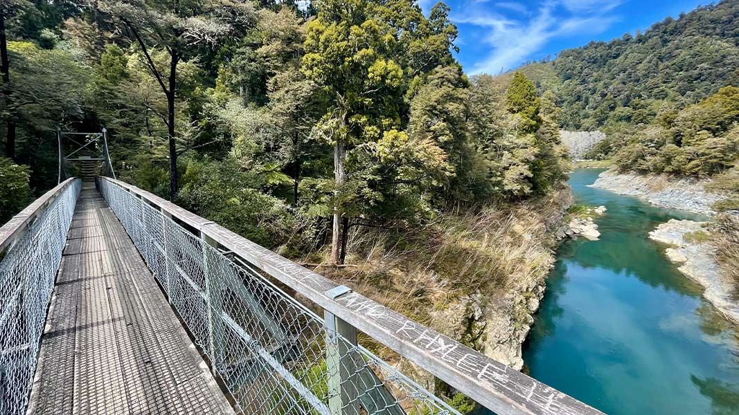 Suspension bridge and view of Rai River from the Circle Walk