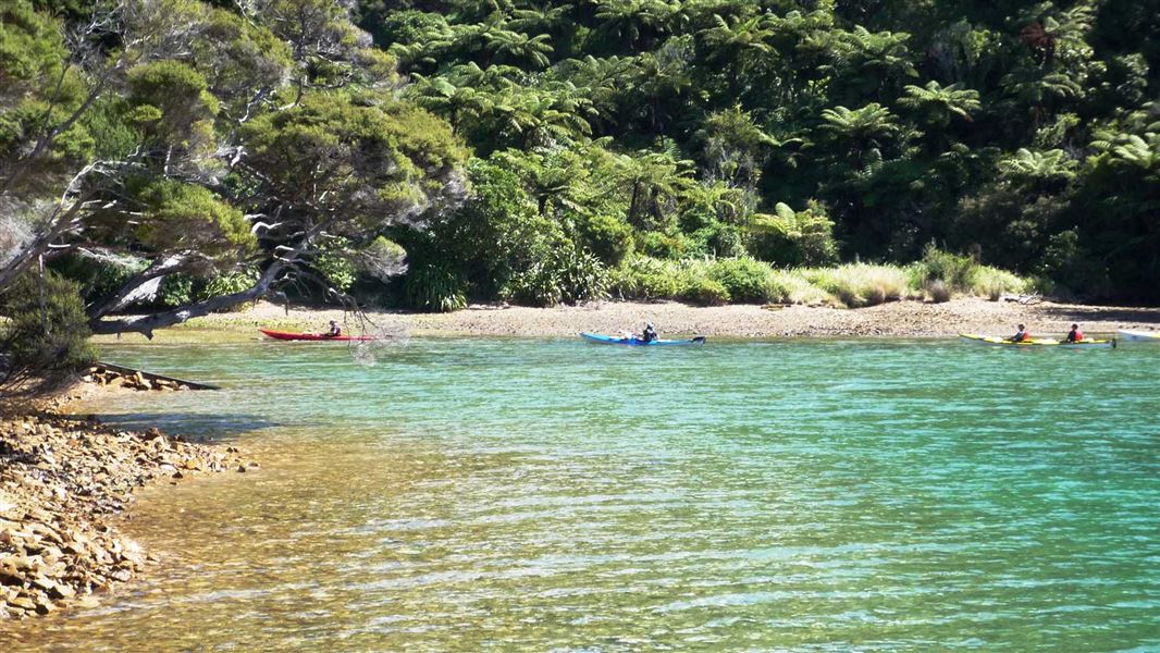 A wide stretch of clear blue water, and a person in a blue kayak, surrounded by bush.